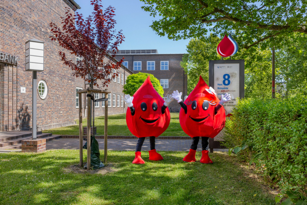 Die beiden Blutbank-Maskottchen Blutbert (li.) und Rhesi freuen sich auf viele Besucher:innen zum Tag der offenen Tür am 13. Juni in der Johannisallee 32. Foto: Stefan Straube / UKL