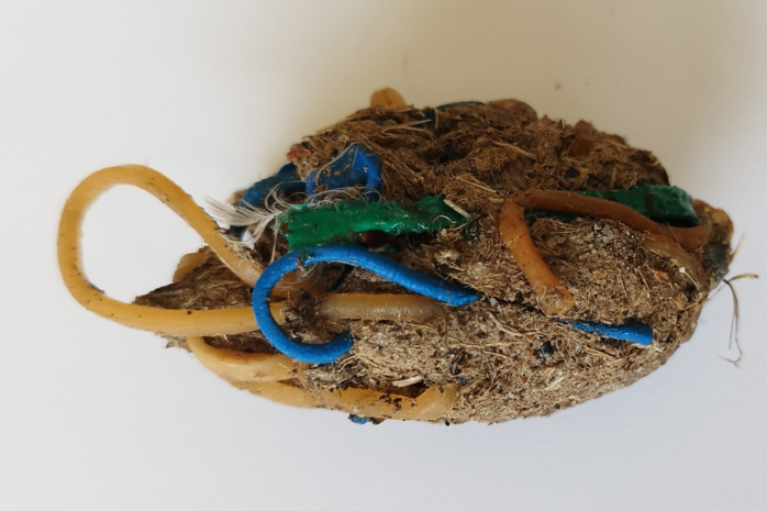 Gefundene Gewölle (Speiballen der Störche) mit Gummibändern.