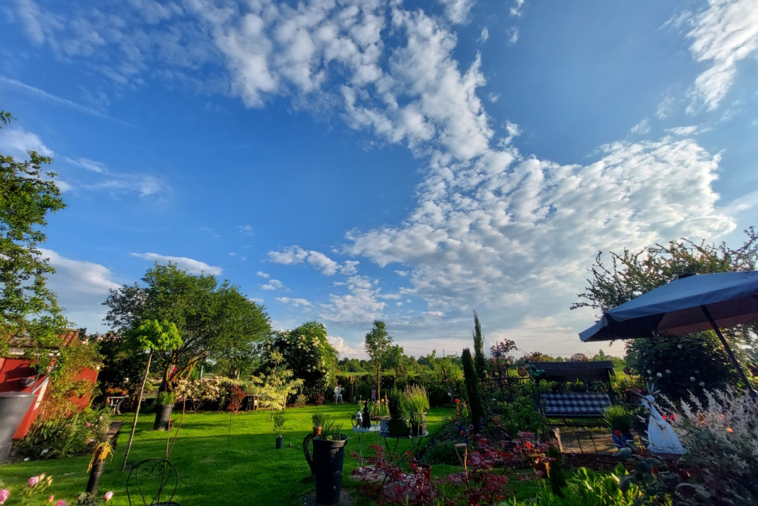 Garten, Wolken und blauer Himmel.