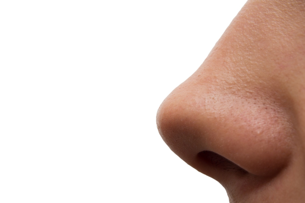 Menschliche Nase in Nahaufnahme