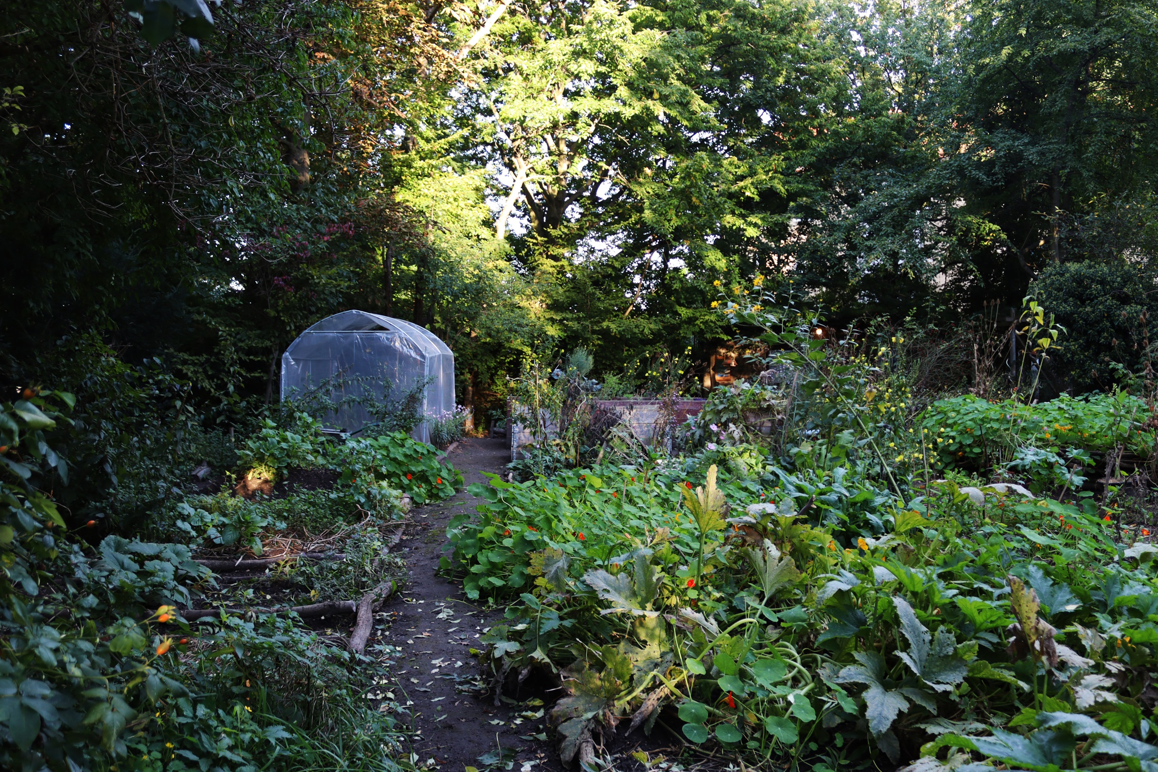 Heute eine „Oase“ in der Stadt: der Stadtgarten Connewitz. Foto: Ökolöwe