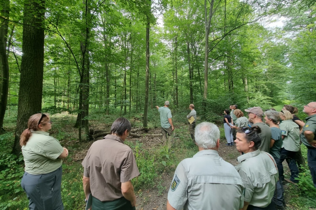 Fachexkursion der Kontrolleure im Steinbacher Wald. Foto: Landratsamt Landkreis Leipzig