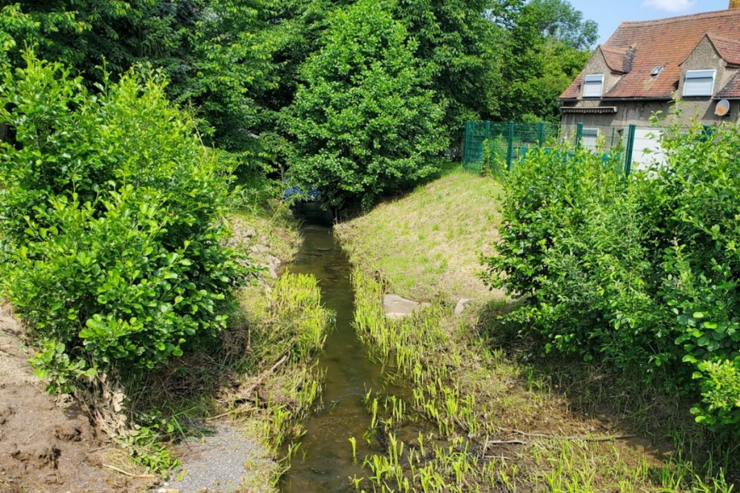 Wagelwitz. Foto: Julia Becher