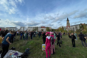 Hunderte Menschen auf einer Wiese.