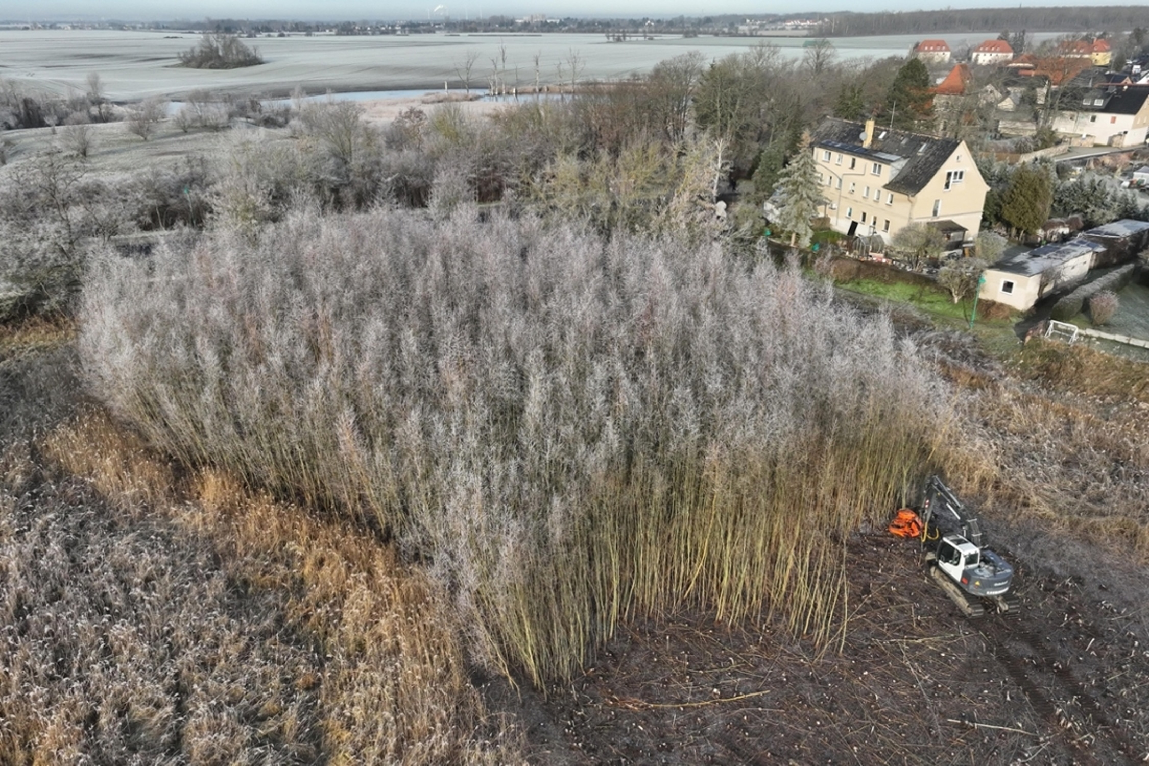 Die Biotoppflege an den Kulkwitzer Lachen. Foto: LaNU