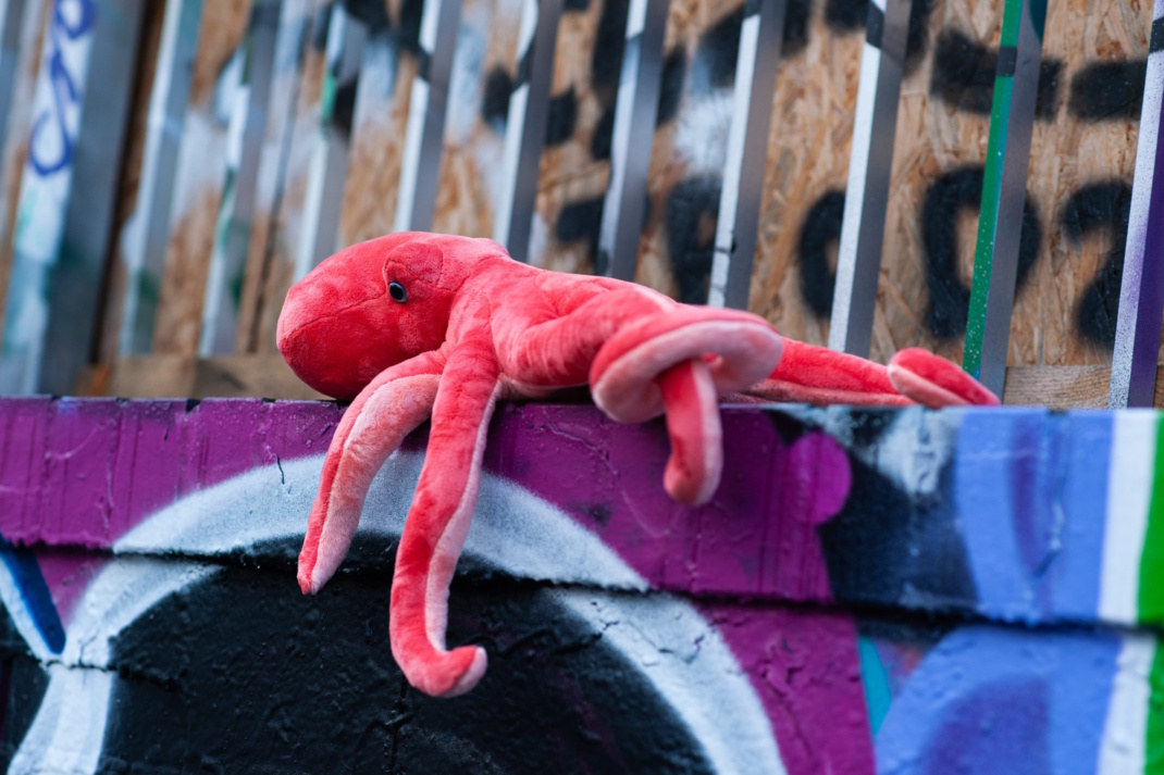 Cammerspiele: Halber Löwe. Foto: Mim Schneider