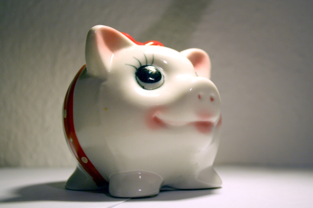 Fröhliches Sparschwein. Foto: Ralf Julke