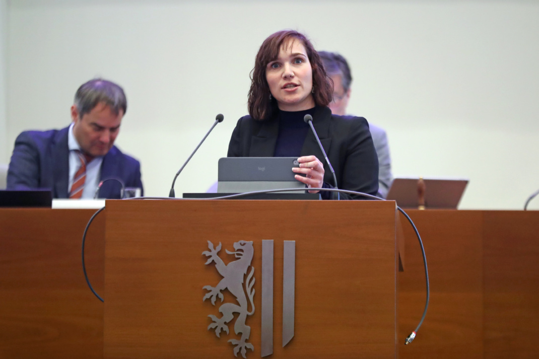 Chantal Schneiß (Bündnis 90/Die Grünen) im Stadtrat.