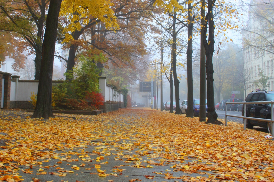 Städtischer Fußweg an einer Straße, übersät mit gelbem Laub.