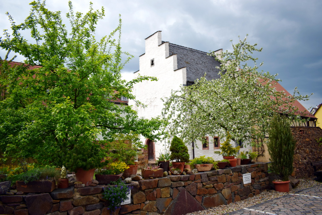 Stadtut Grimma. Foto: Natalie Rieche