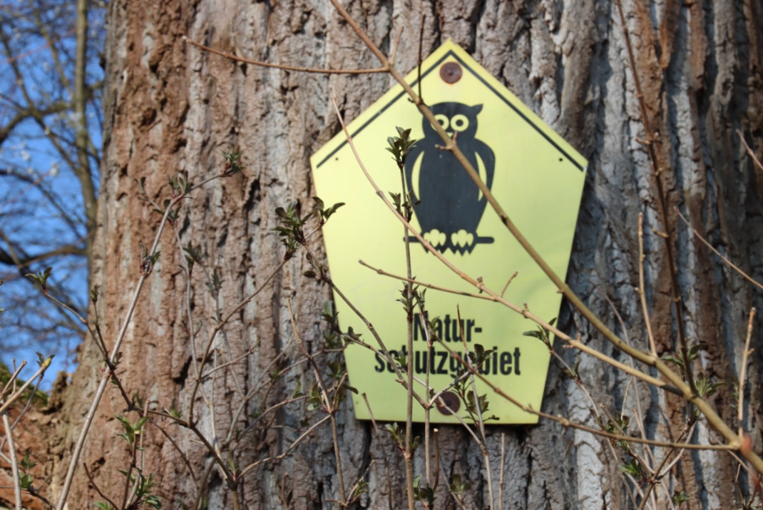 Kommt mit den Kürzungen im Landeshaushalt jetzt der Naturschutz unter die Räder? Foto: Sabine Eicker