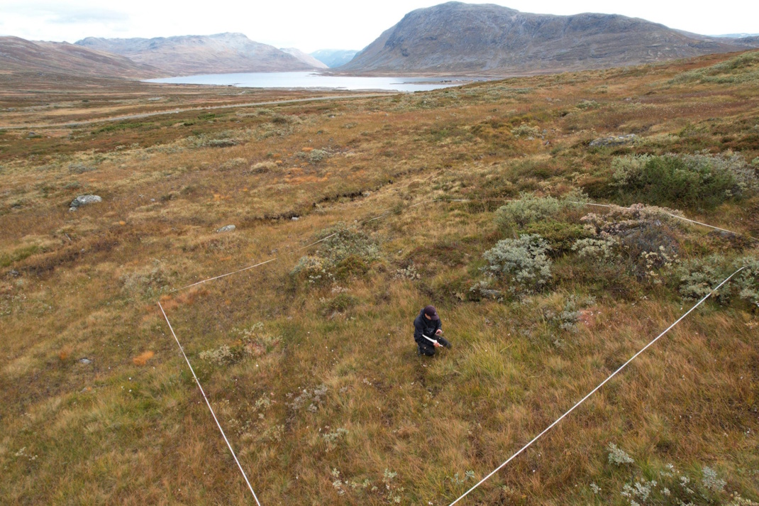 DarkDivNet-Standort in Norwegen  eine von weltweit 5.500 Untersuchungsflächen des Forschungsnetzwerks. Foto: DarkDivNet