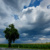 Gewitterwolken über Feld, Baum links im Bild.