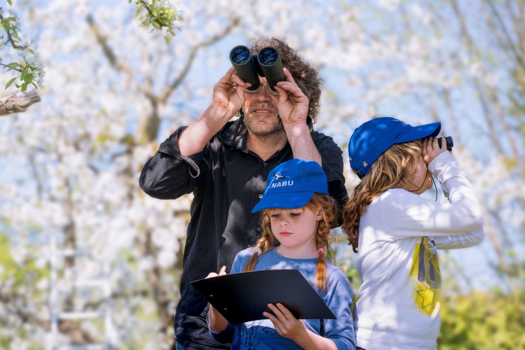 Stunde der Gartenvögel. Foto: NABU/Sebastian Hennigs