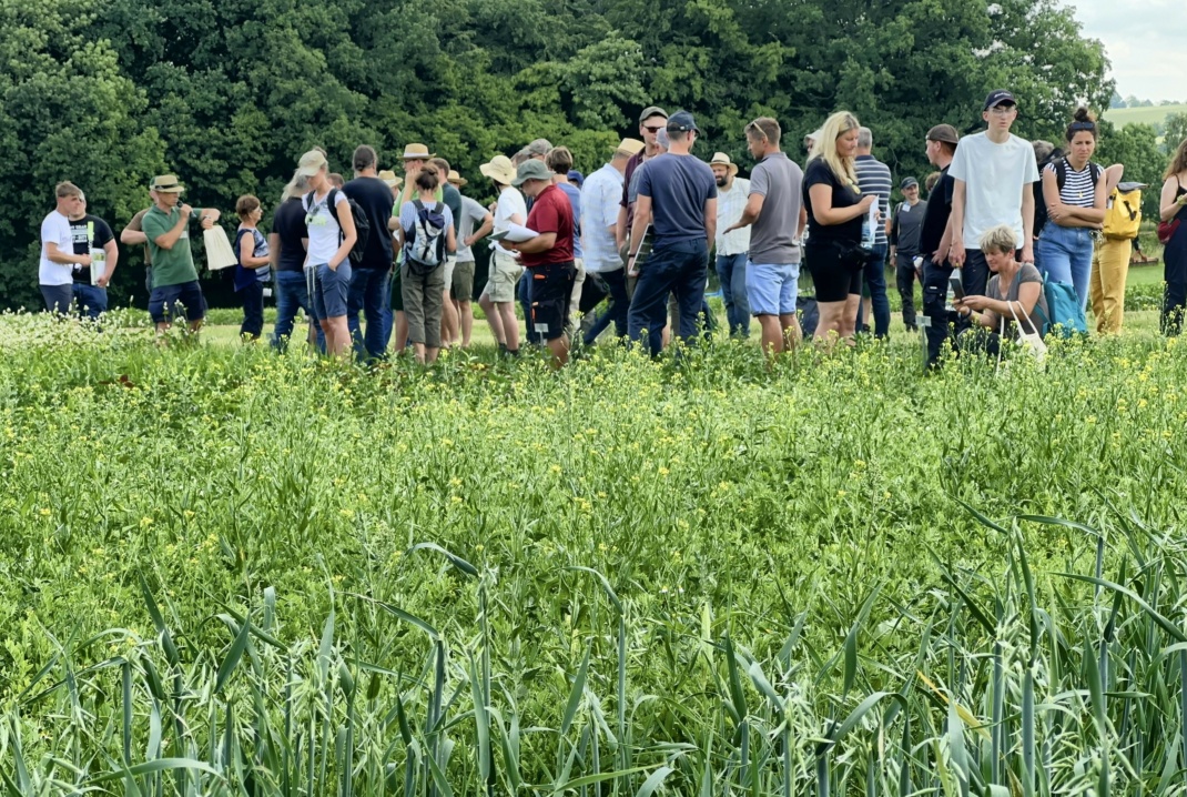 Symbolbild Feldtage © LfULG