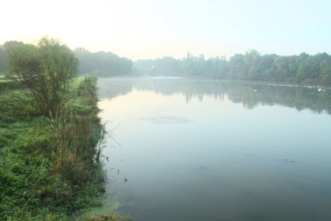 Blick übers Elsterbecken zum Palmengartenwehr.