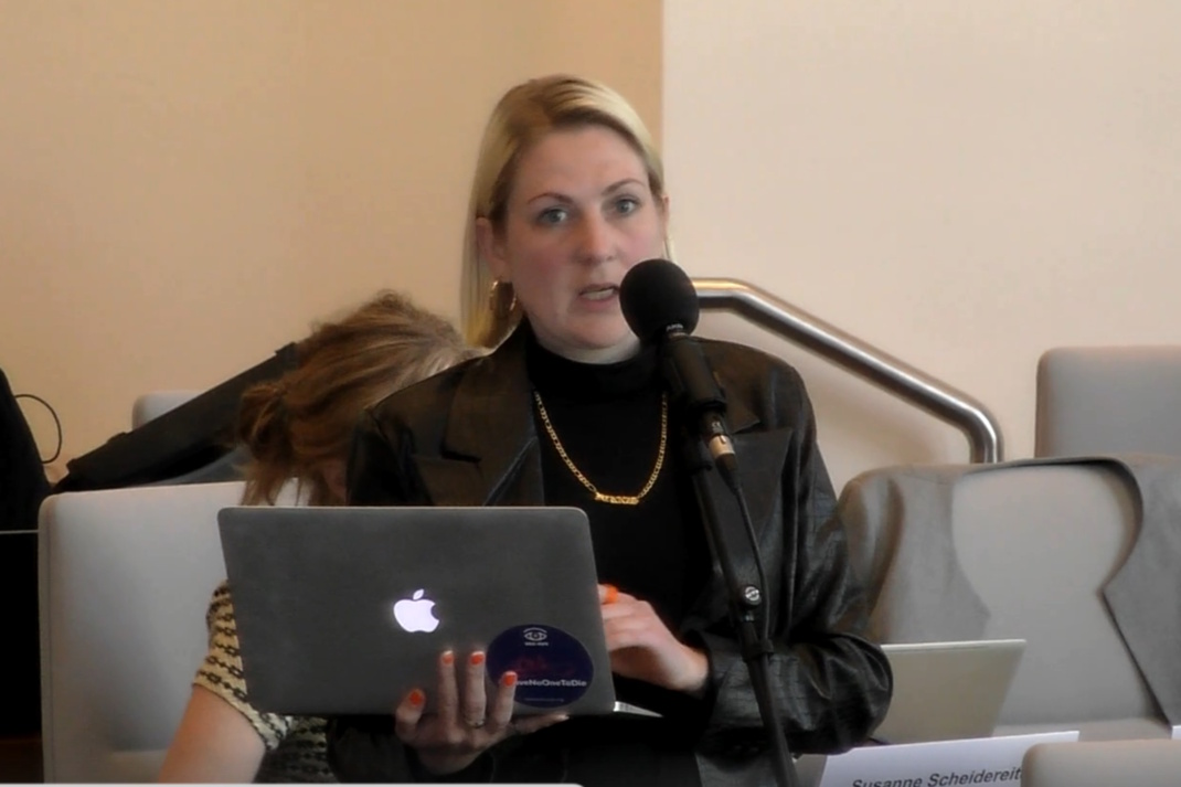 Anne Vollerthun bei ihren Nachfragen zum Feuerwerk am Bagger. Screenshot: Livestream der Stadt Leipzig