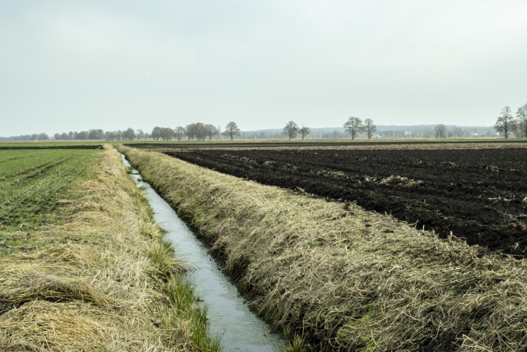 Das Bayerische Donaumoos ist durch dunkle Moorböden und ein Netz an künstlichen Drainagegräben gekennzeichnet. Foto: Victor S. Brigola