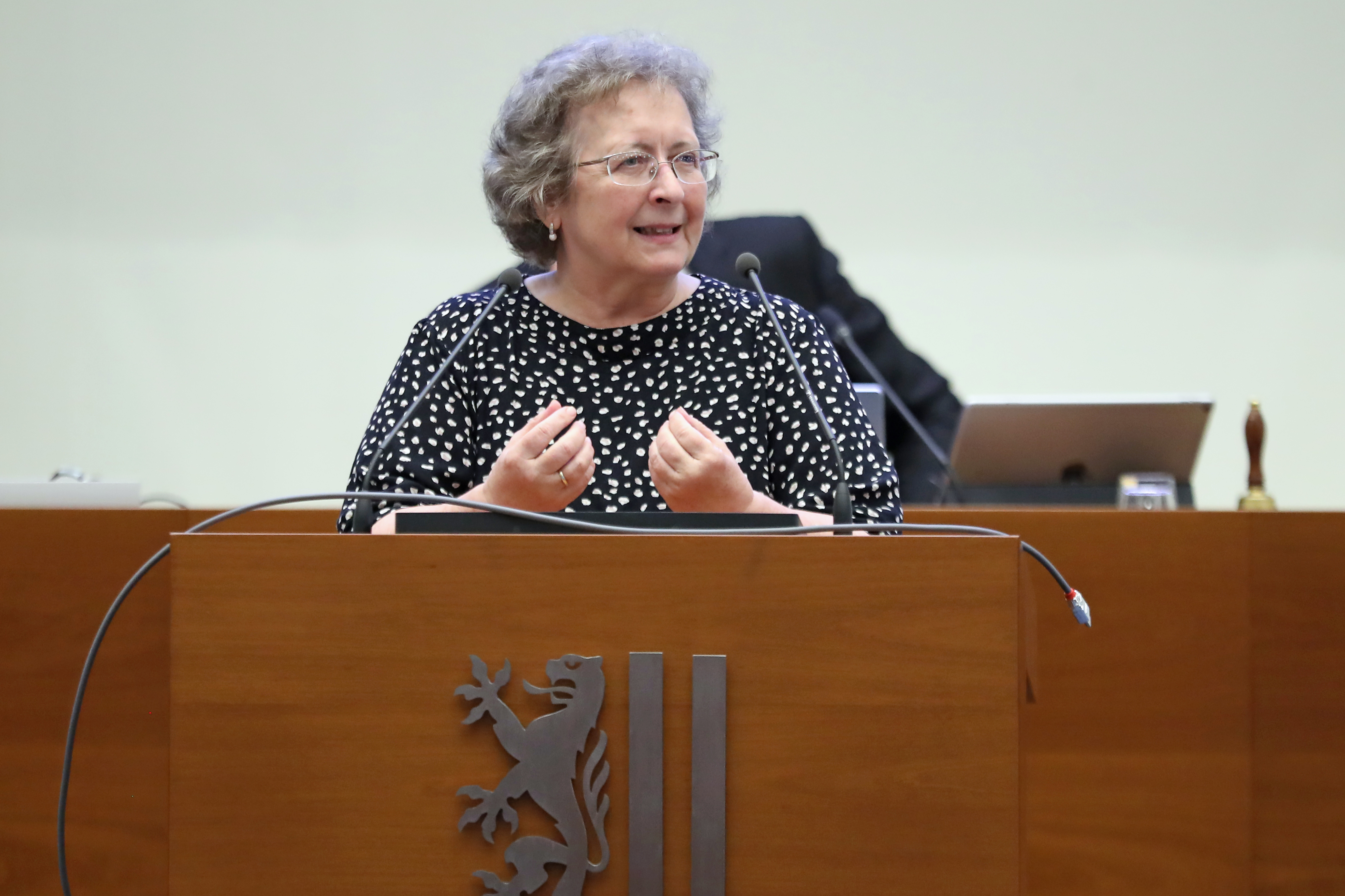 Frau Sabine Heymann (CDU) im Leipziger Stadtrat am 25.06.25. Foto: Jan Kaefer