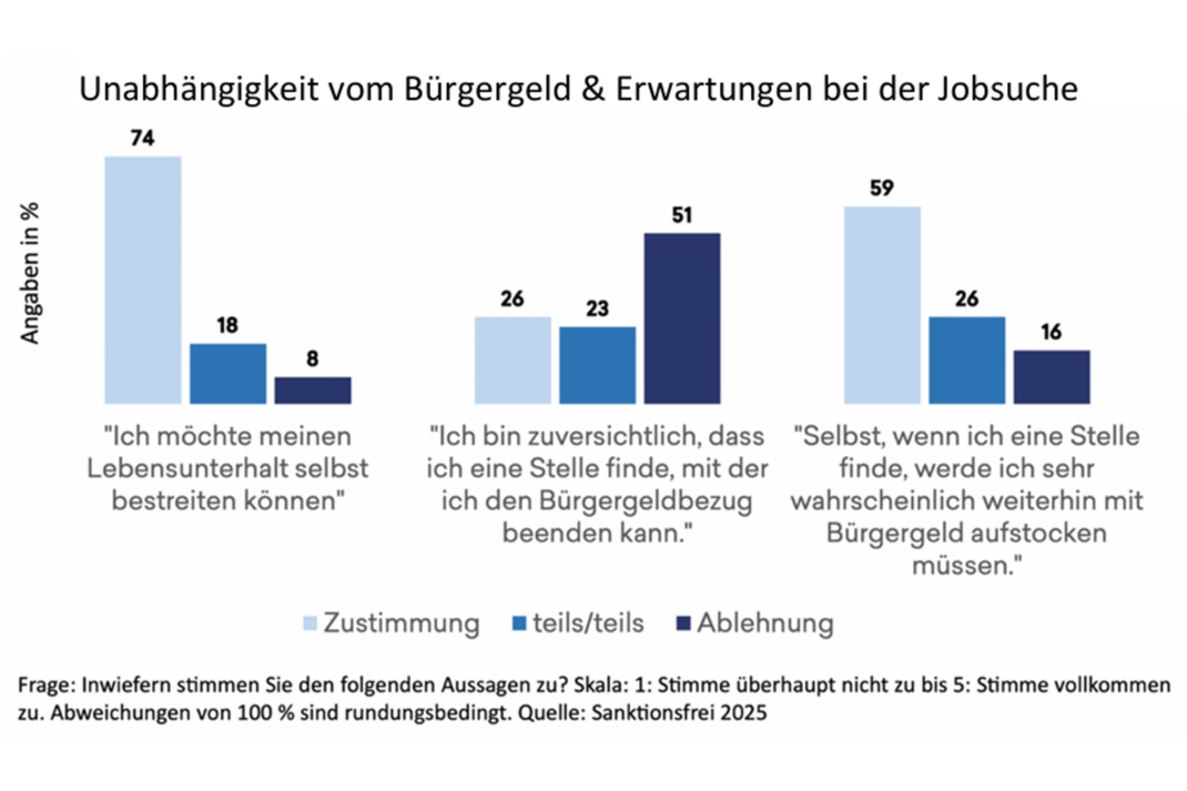 Umfrage, grafische Aufbereitung.