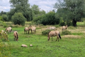 Quelle: Stadt Leipzig