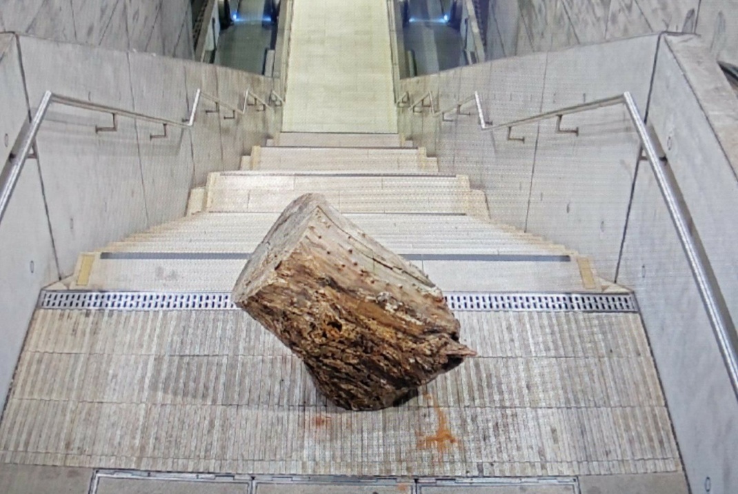 1 Meter langer Baumstamm im Leipziger S-Bahnhaltepunkt „Wilhelm- Leuschner – Platz“. Bild: Bundespolizei Leipzig