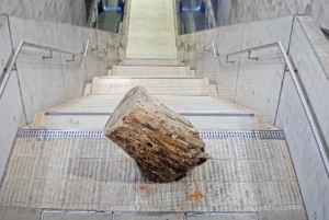 1 Meter langer Baumstamm im Leipziger S-Bahnhaltepunkt „Wilhelm- Leuschner – Platz“. Bild: Bundespolizei Leipzig