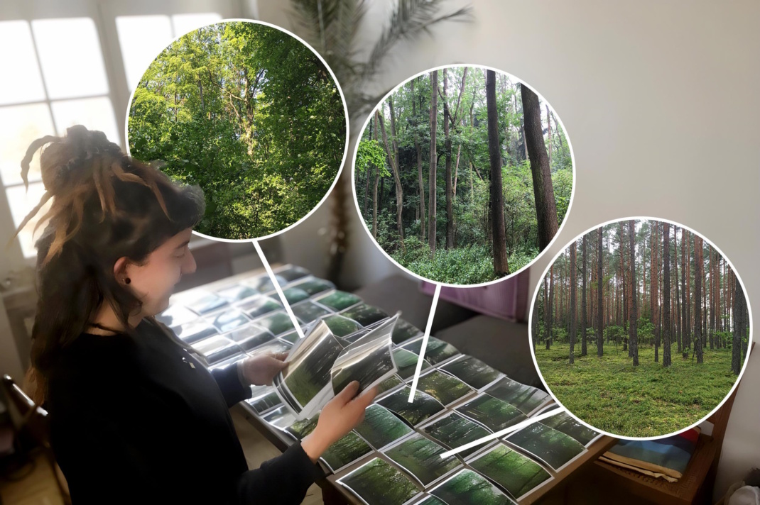 In der Studie beurteilten zwei Gruppen von je 48 Teilnehmerinnen und Teilnehmern entweder Fotografien oder Tonaufnahmen aus Wäldern mit unterschiedlich hoher Biodiversität. Foto: K. Rozario / iDiv