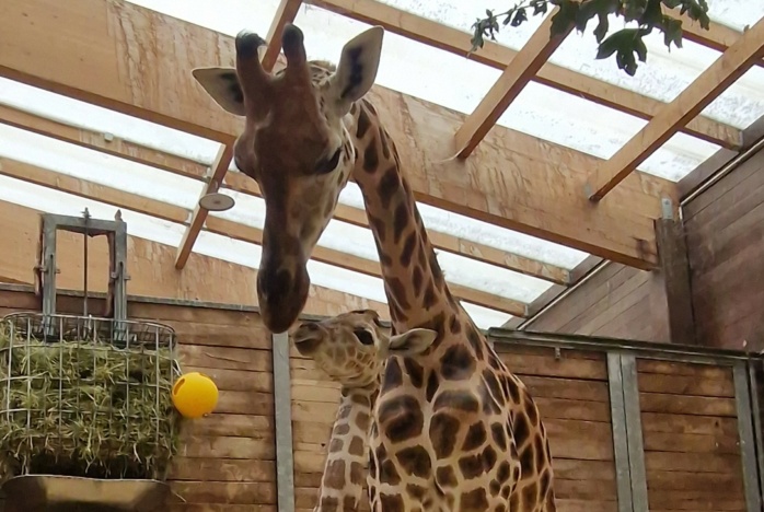 Tamika mit ihrer Tochter @ Zoo Leipzig