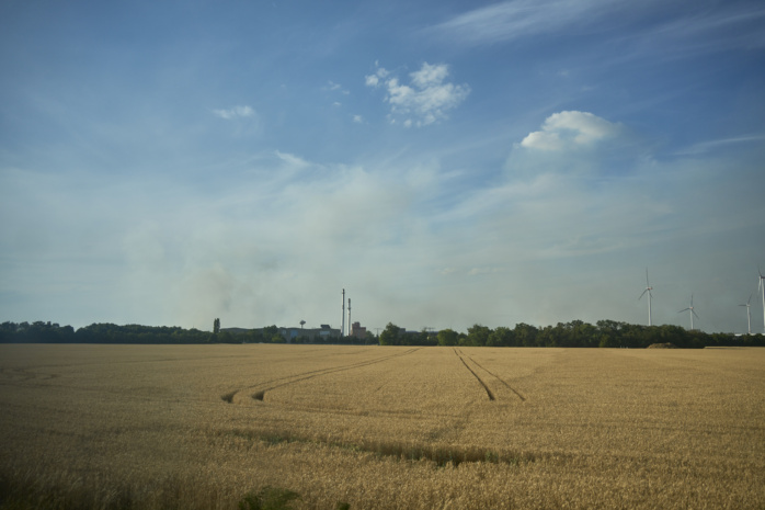 Waldbrand bei Riesa. Foto: LZ