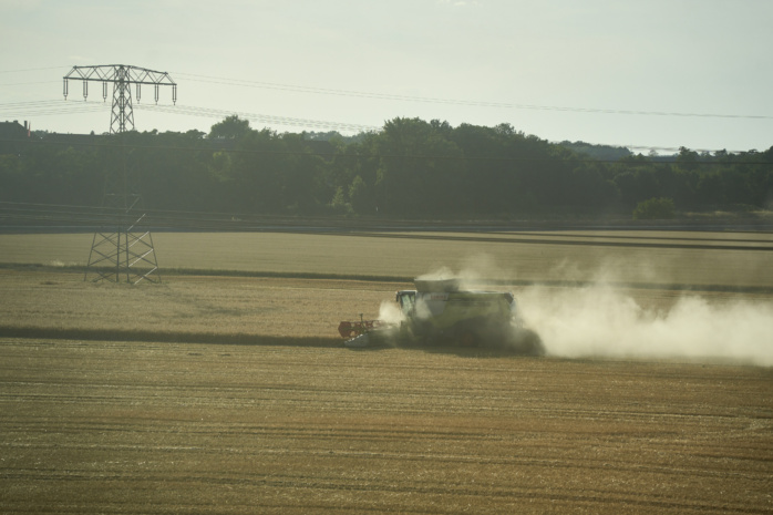 Waldbrand bei Riesa. Foto: LZ