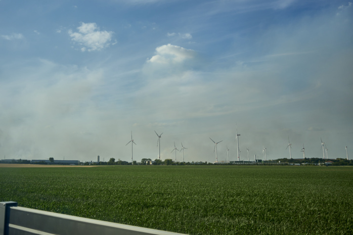 Waldbrand bei Riesa. Foto: LZ