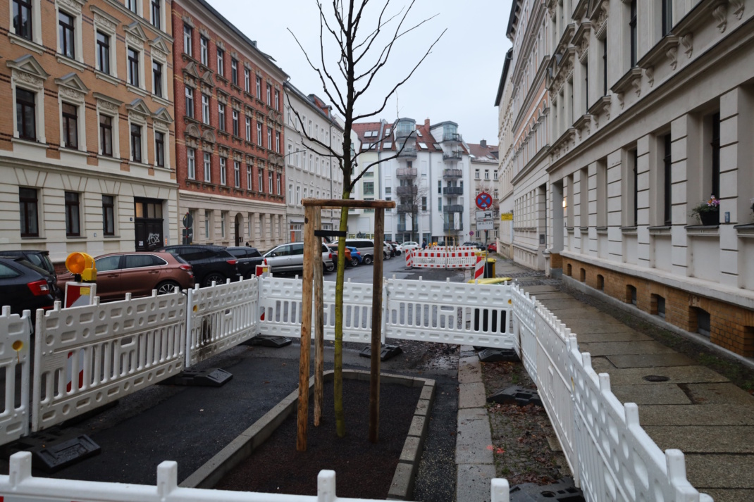 Baumpflanzung 2024 in der Adolph-Menzel-Straße in Gohlis. Foto: Ralf Julke