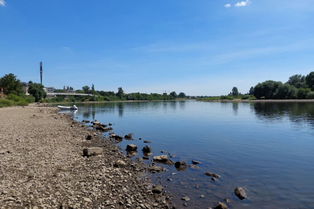 Niedrigwasser in der Elbe bei Dresden. Foto: Sabine Eicker