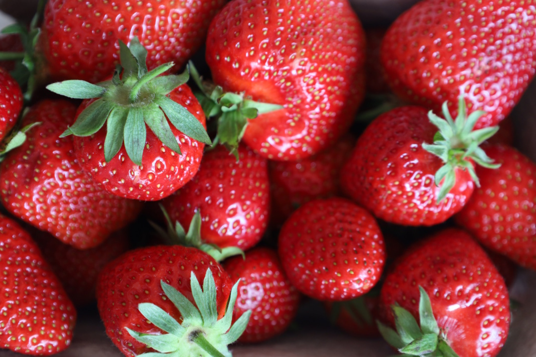 Erdbeeren, Nahaufnahme.