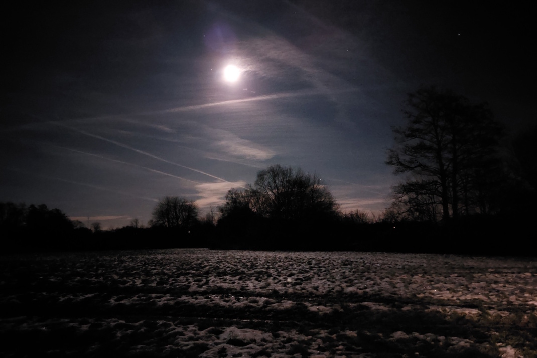 Mondschein über dunkler Landschaft,