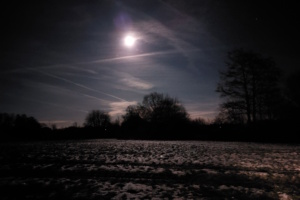 Mondschein über dunkler Landschaft,