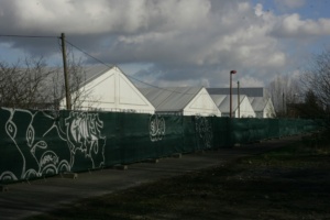 Notunterkünfte für Asylsuchende in der Nähe der Neuen Messe (Archivbild). Foto: Sebastian Beyer