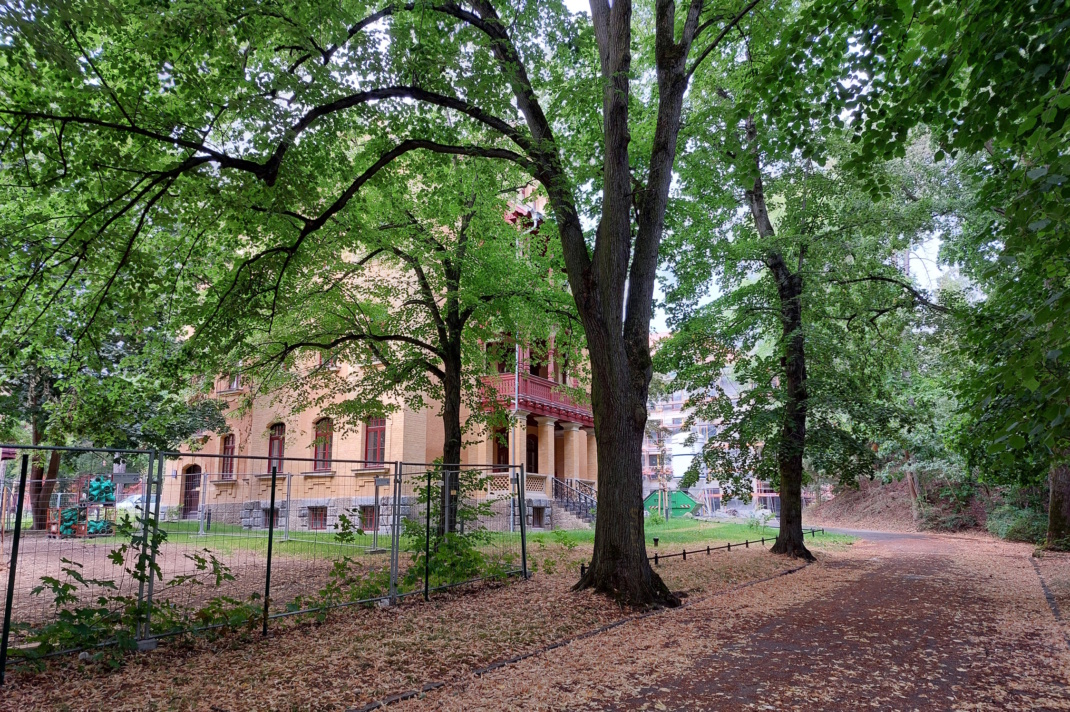 Das Bild zeigt den Weg in einem Park mit Bäumen und einem Gebäude.