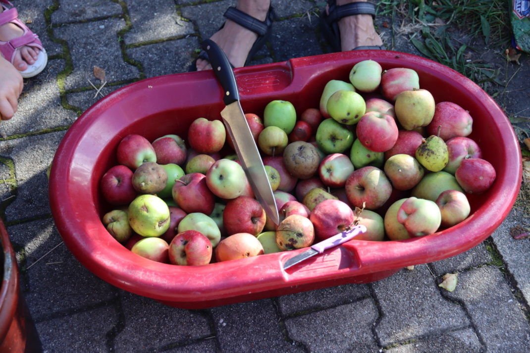 Eine Wanne voll Äpfel