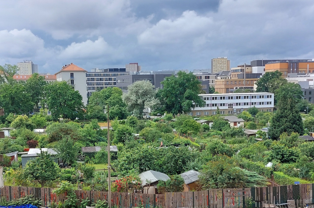 Blick über die Kleingartenanlage Johannistal.