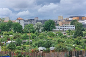 Blick über die Kleingartenanlage Johannistal.