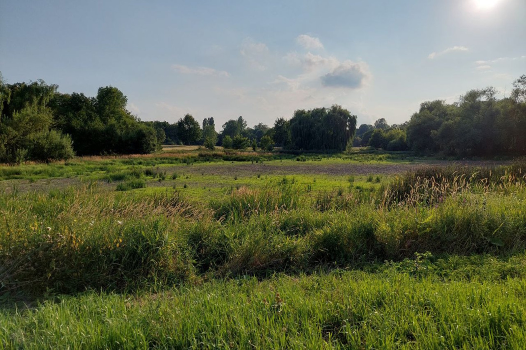 Trocken gefallener Teich im Erholungspark Lößnig-Dölitz.