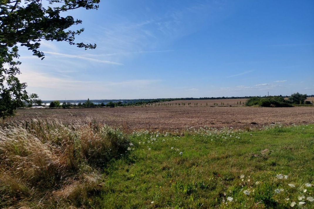 Felder und blauer Himmel.