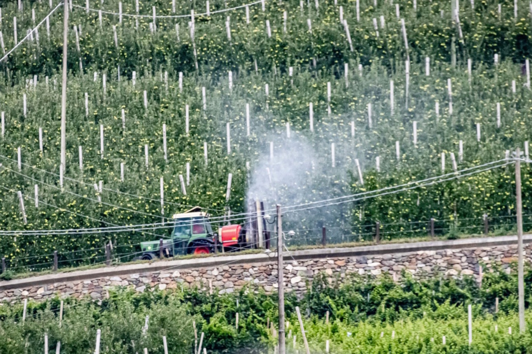 Traktor in einer Obstplantage im Vinschgau. Foto: Jörg Farys