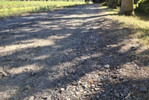 Die Schotterpiste am Elsterflutbett. Foto: Christof Korth