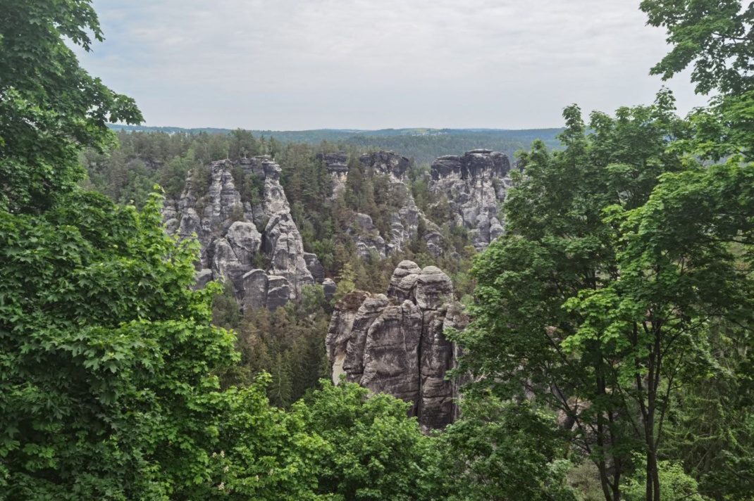Ein schönes Gebiet für emsige Fahndungsgruppen. Foto: Tilly Domian