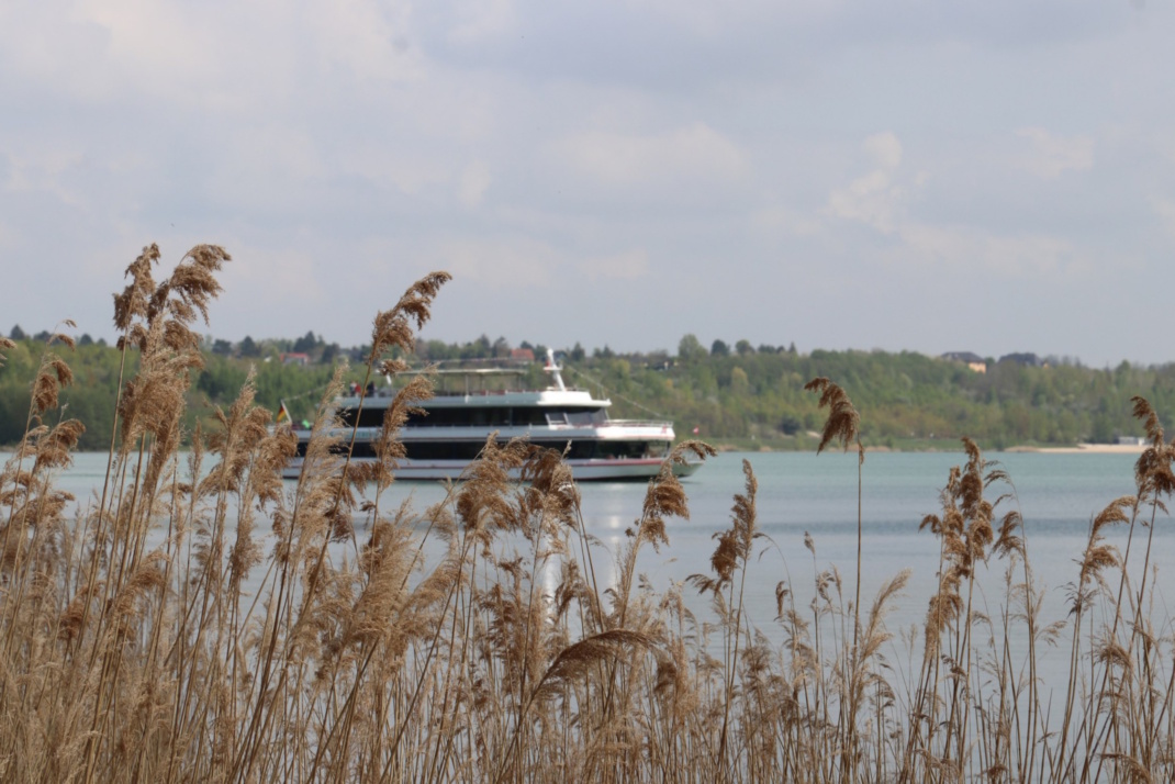 Ausflugschiff auf dem Markkleeberger See, Schilf.