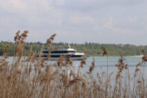 Ausflugschiff auf dem Markkleeberger See, Schilf.