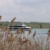 Ausflugschiff auf dem Markkleeberger See, Schilf.